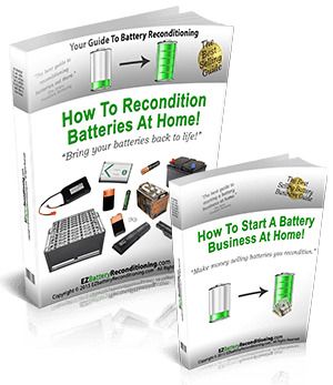 EZ Battery Reconditioning course bundle